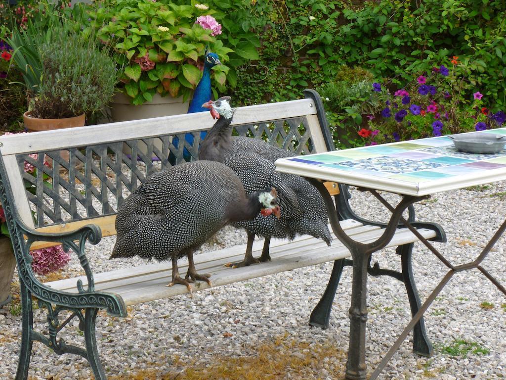Marles-sur-Canche Manoir Francis B&B 외부 사진